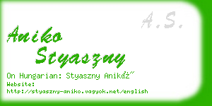 aniko styaszny business card